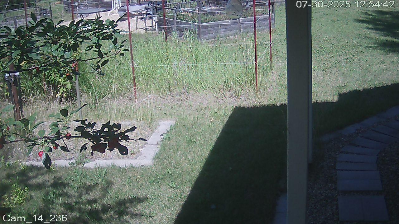Cam_14