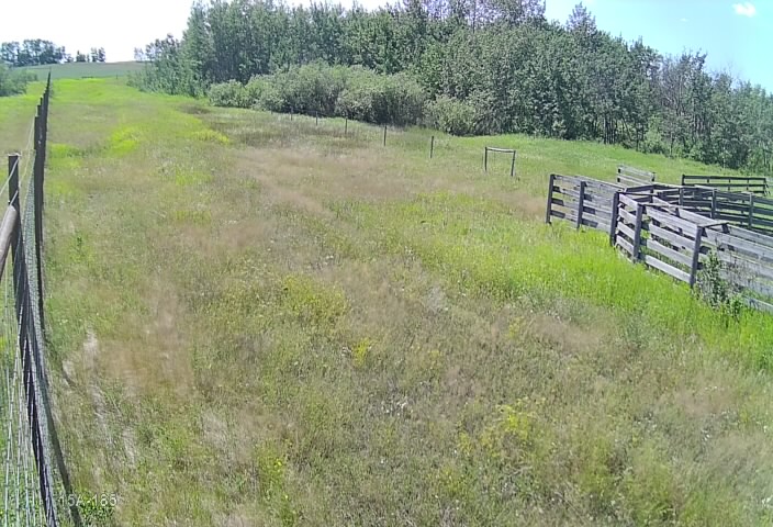 Cam_15A