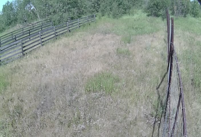 Cam_15D