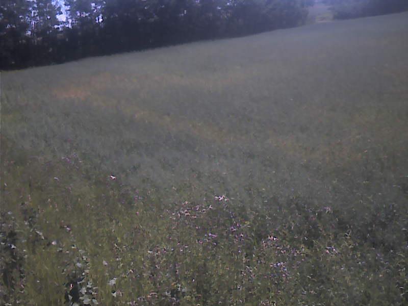 Cam_180.2