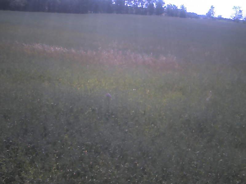 Cam_180.4