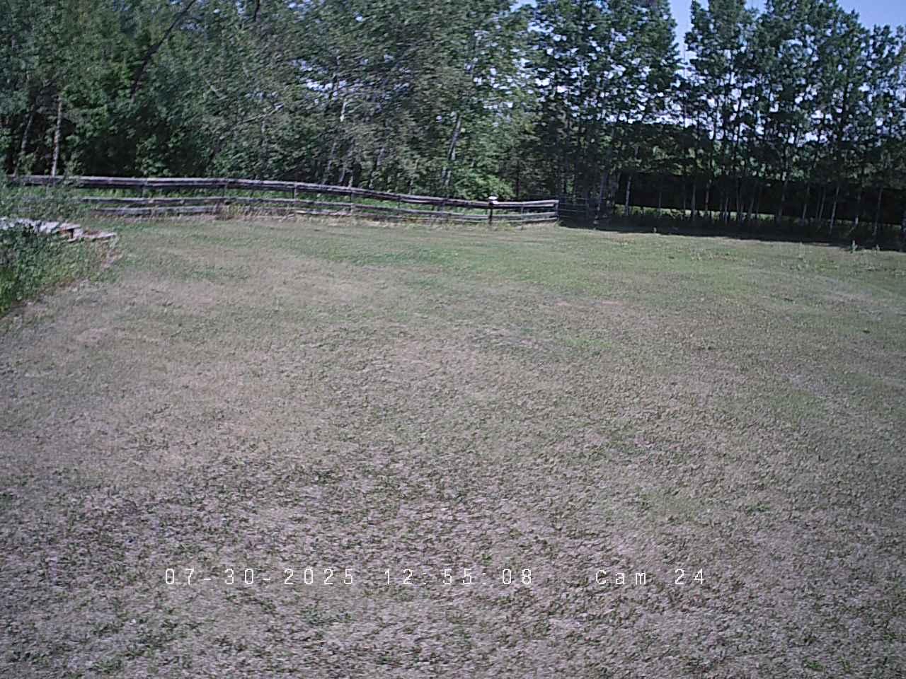 Cam_24