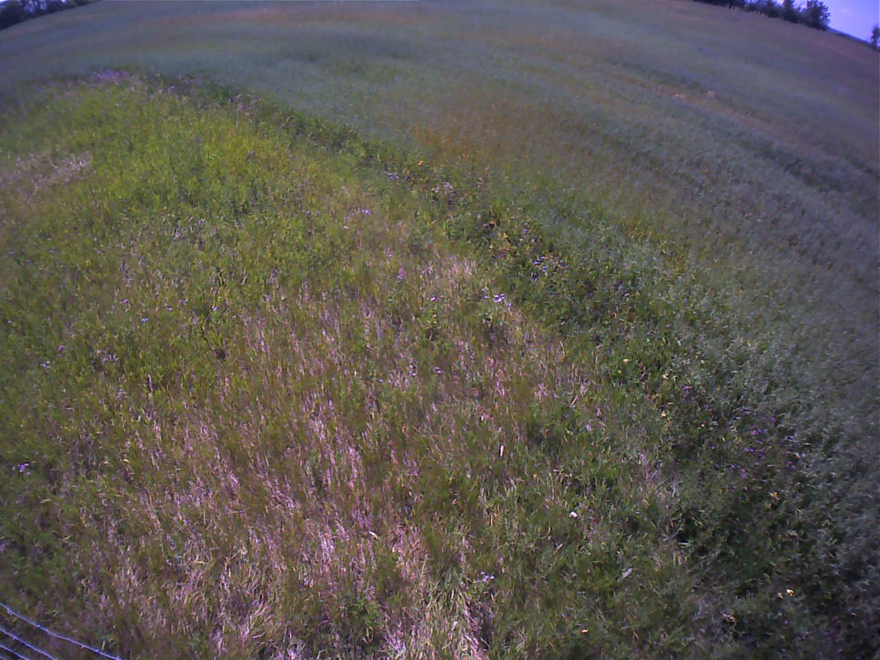 Cam_360.2