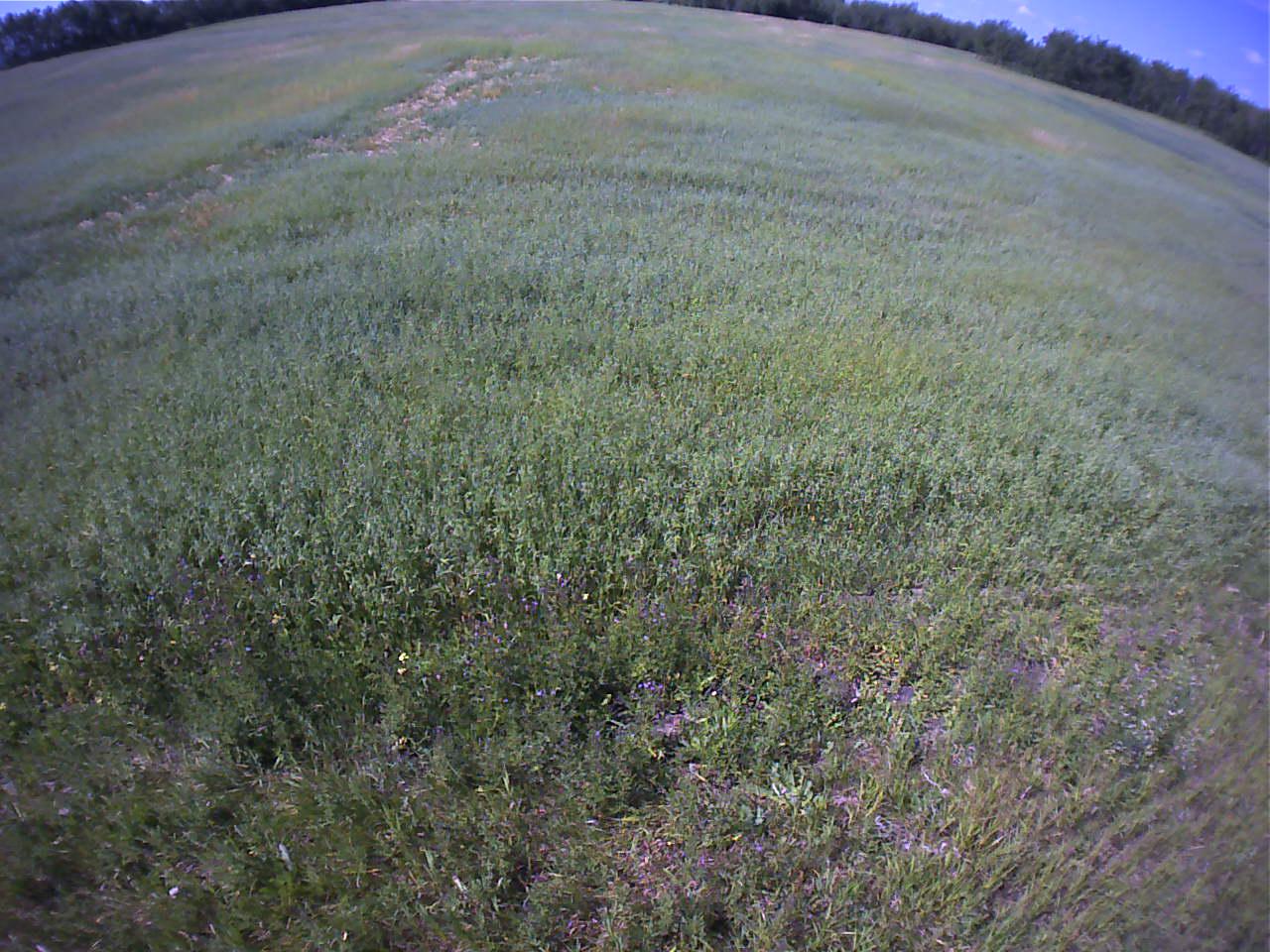 Cam_360.3